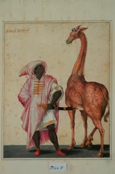 Berber mit einer Giraffe